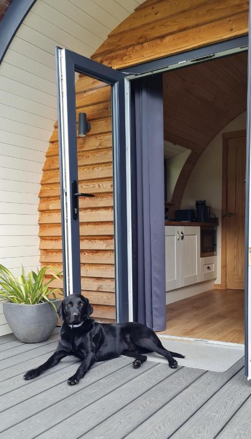 Hotel Habberley Glamping Pods Shrewsbury Esterno foto